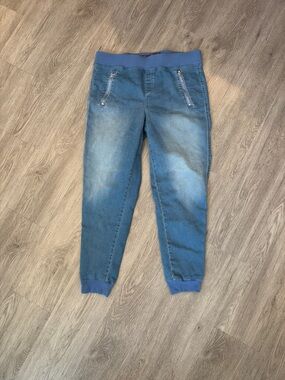 Gloria Vanderbilt stretch Blue denim Pull-On Jogger Jeans Size 12 d13